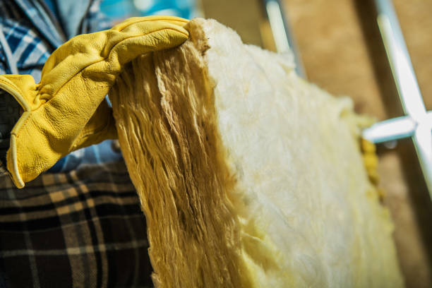 Best Residential Insulation in North Merritt Island, FL