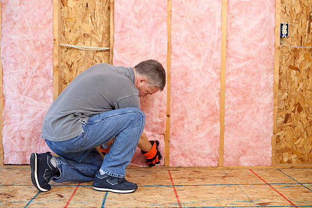Best Residential Insulation in North Merritt Island, FL