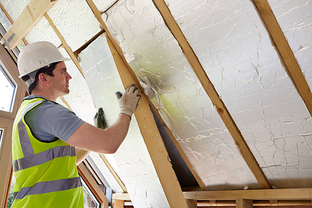 Best Specialized Insulation Services in North Merritt Island, FL