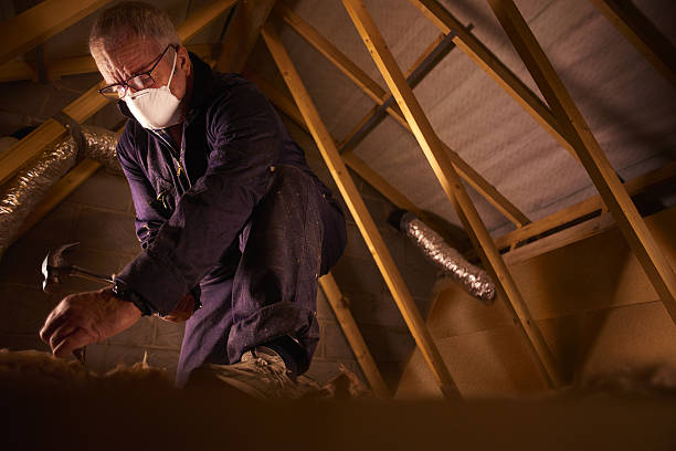 Best Eco-Friendly Insulation in North Merritt Island, FL